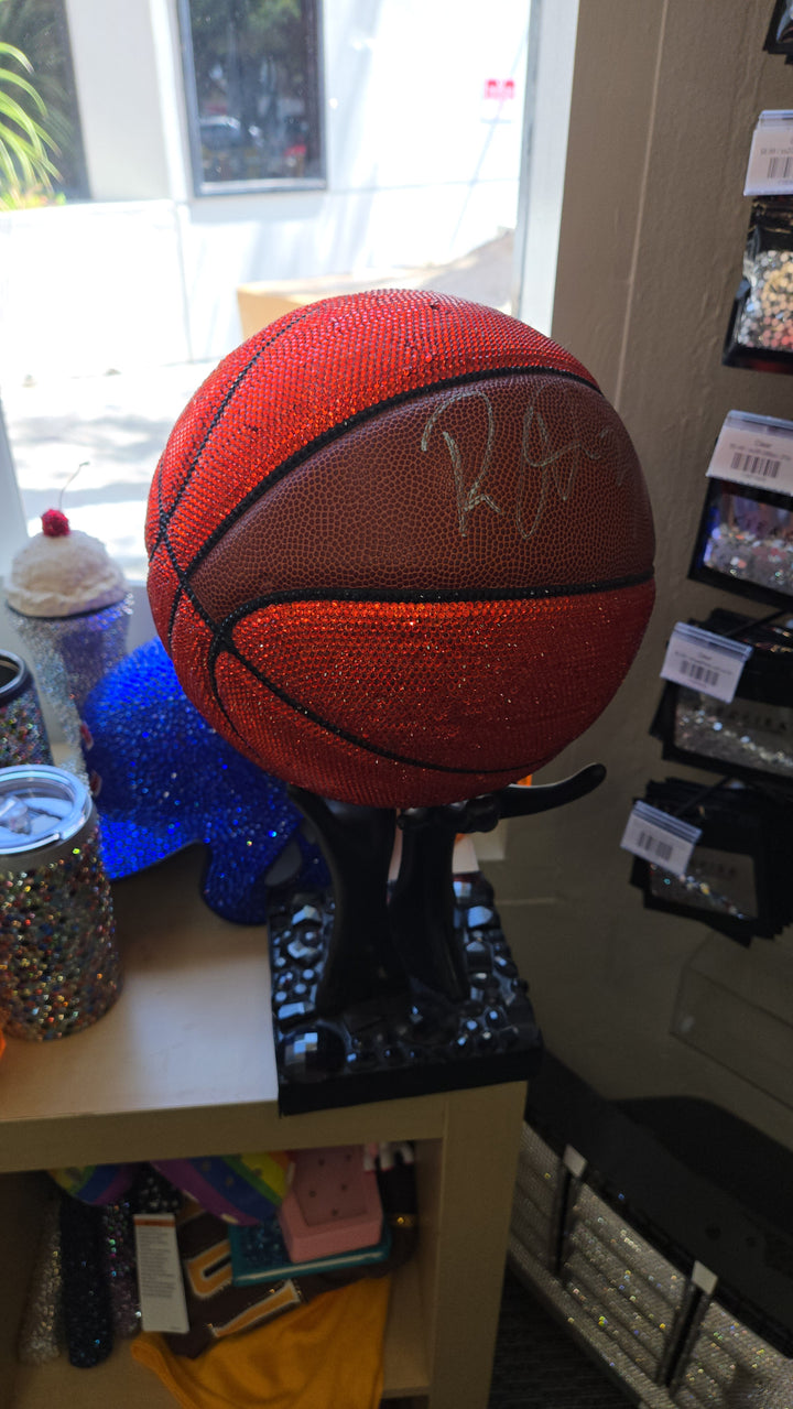 Ron Artest Basketball Schanotsky