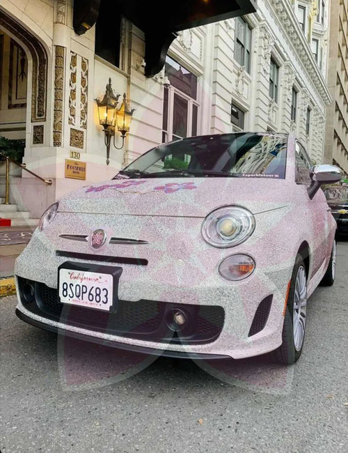 PROJECT CONSULTATION