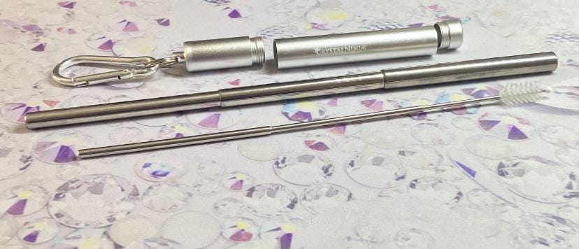 Collapsible Stainless Steel Straw w/ Cleaning Brush